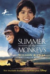 summer of monkeys